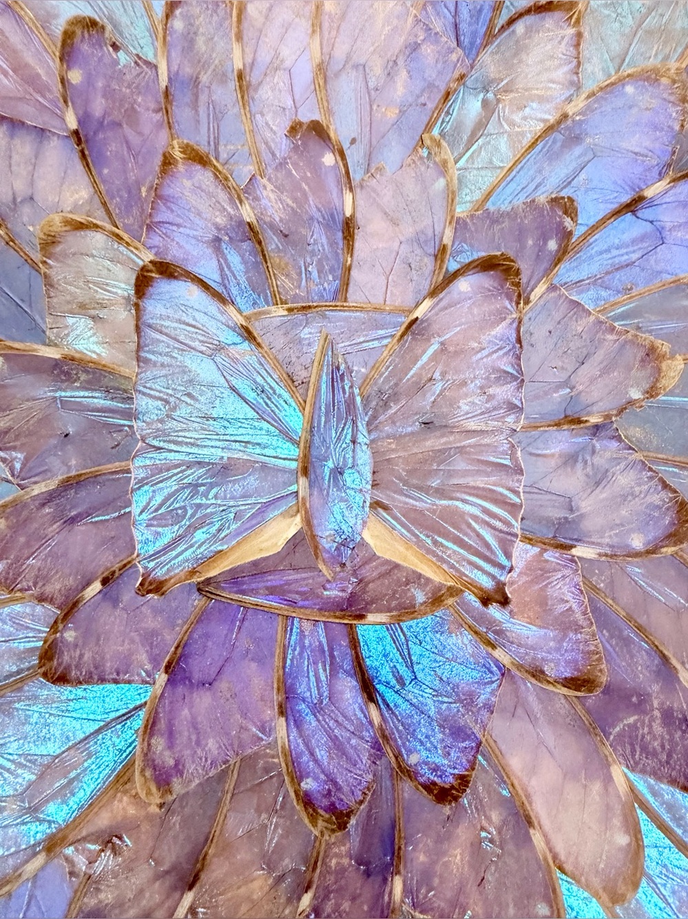 🦋 Vintage Morpho Butterfly Wing Wall Art, Gorgeous Blue Iridescence, 9.5” Diam - Picture 2 of 5
